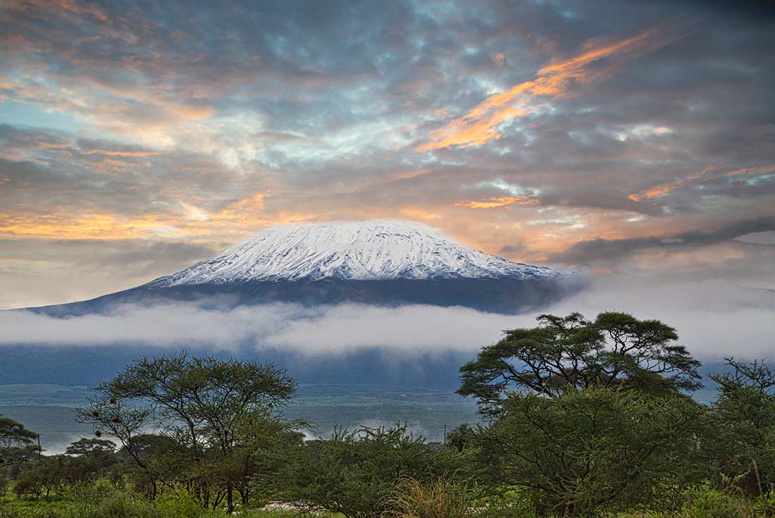 Kilimanjaro at sunrise