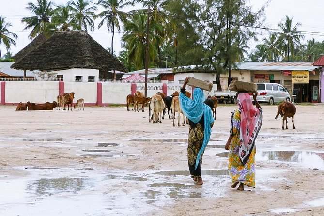 Traditional fishing village life in Nungwi Zanzibar