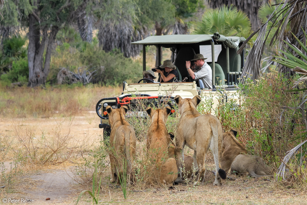 Selous National Park