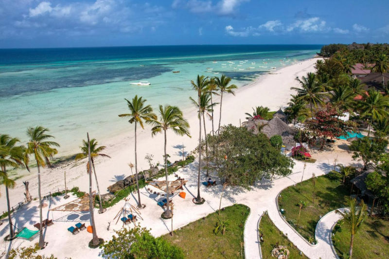 Relax on Secluded Beaches-Kizimkazi Dolphin Tour