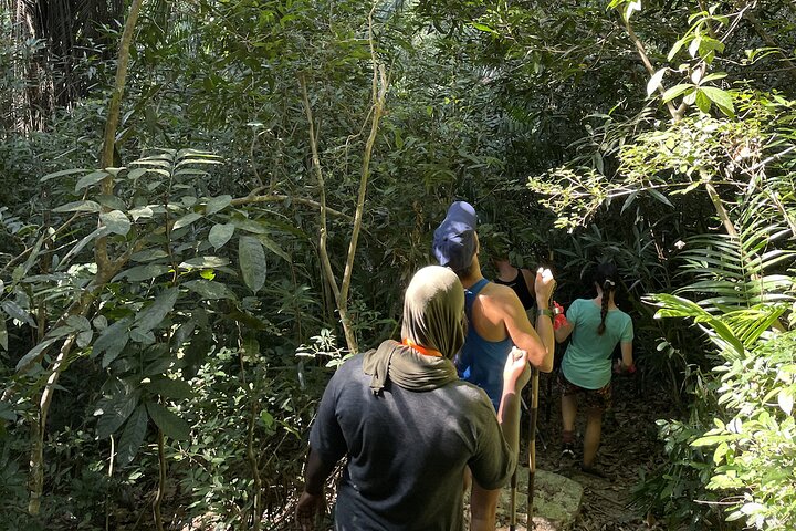 Bwejuu to Michamvi Forest Hike