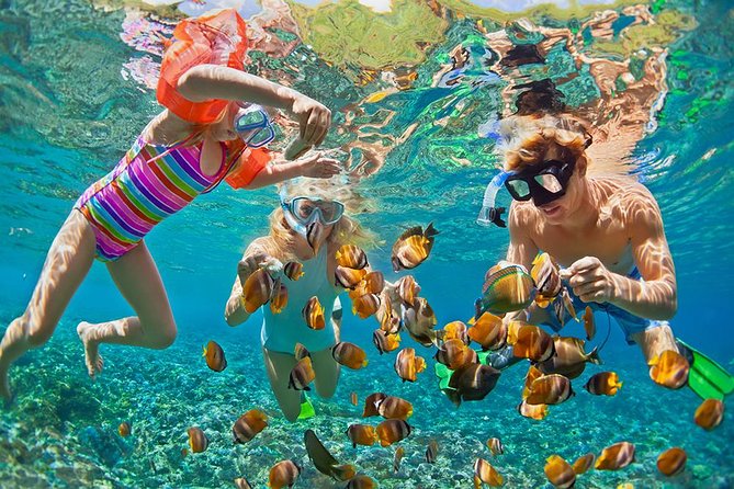 Go Snorkeling or Diving in Mnemba Atoll