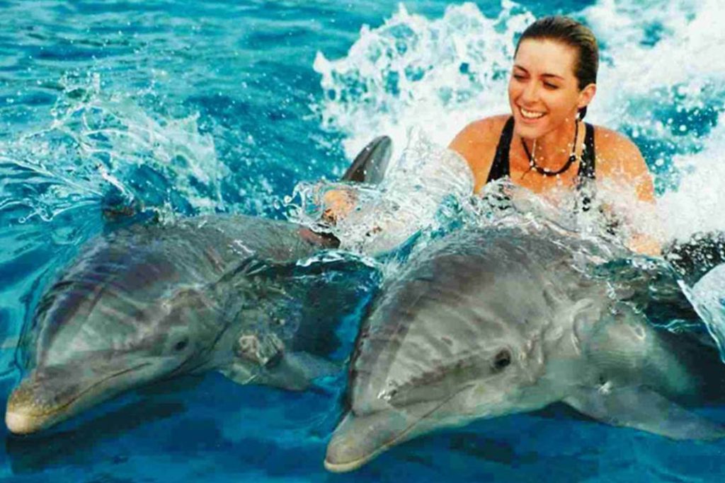 zanzibar dolphins tours