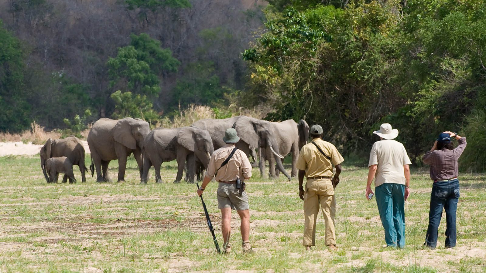 Selous National Park