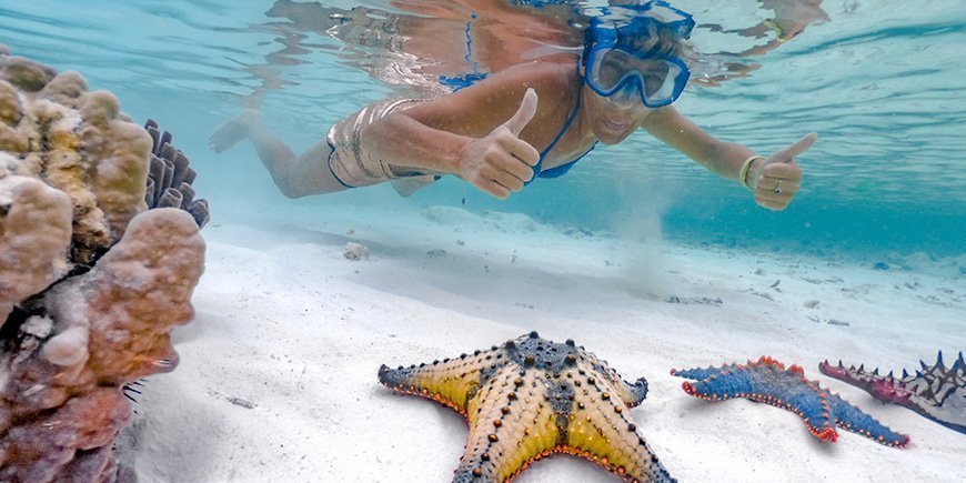 woman snorkeling in zanzibar looking at starfish