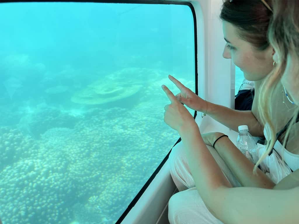 A Tropical Marine Wonderland