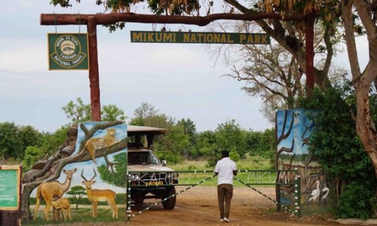 1 Day Trip Mikumi National Park