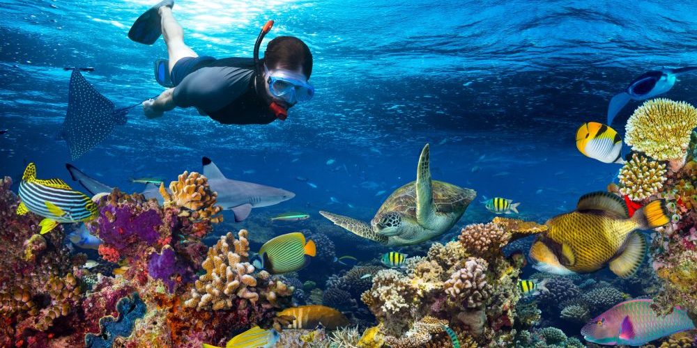 Best Time for Diving and Snorkeling