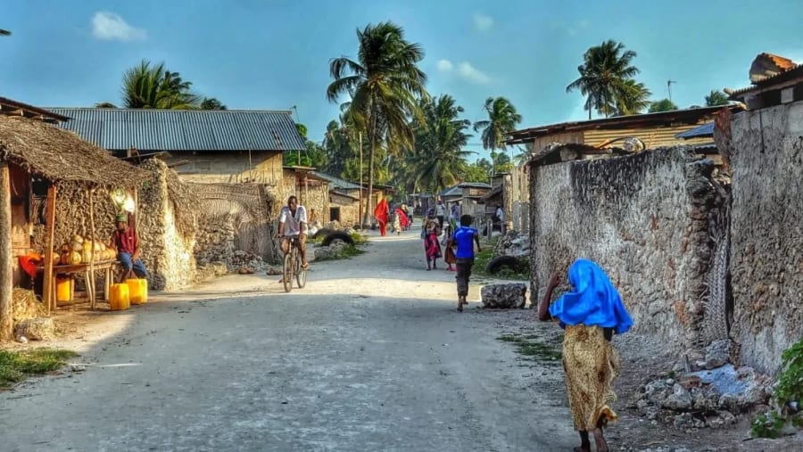 Best Time for Culture and Festivals