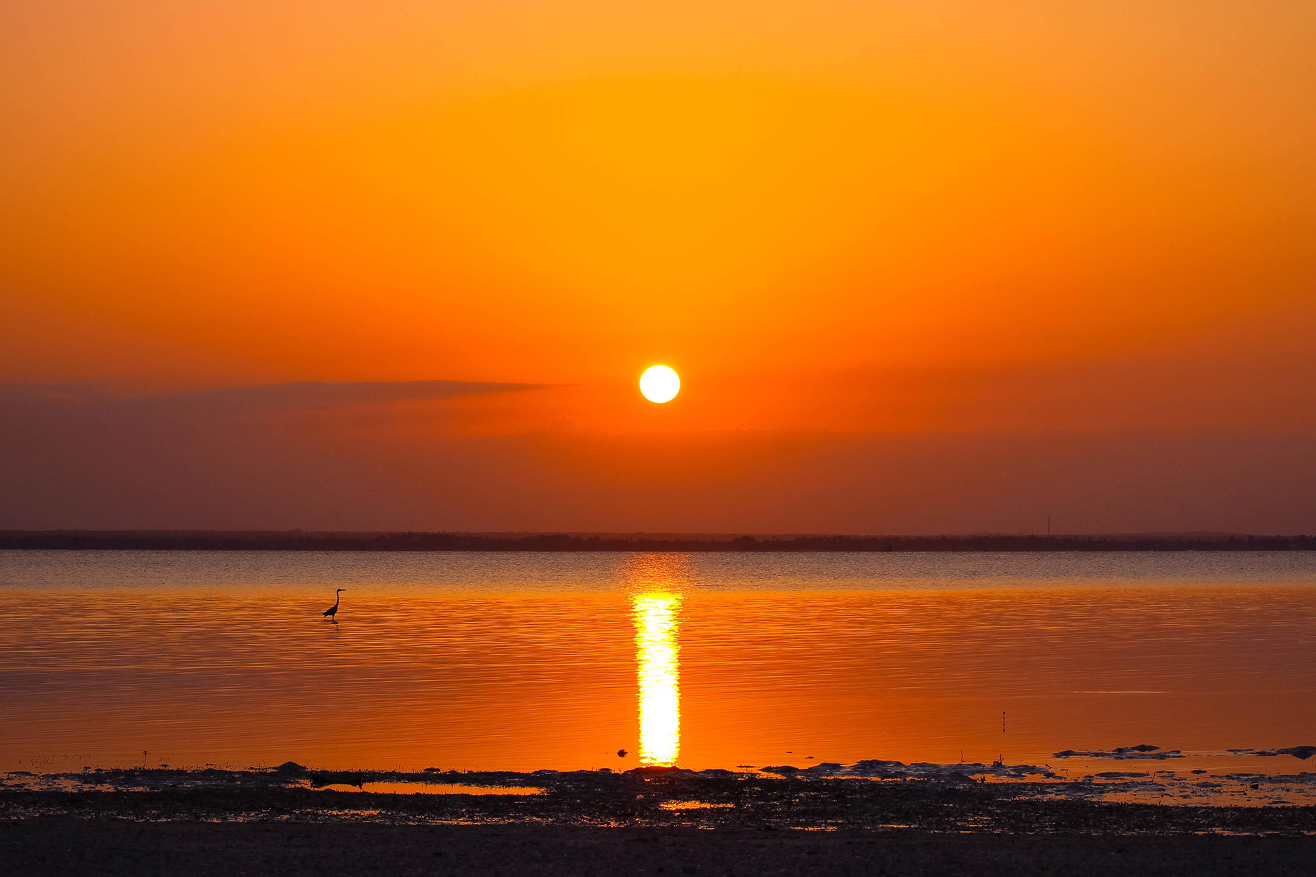Watch the Sunset at Michamvi Peninsula Explore Stone Town – The Heart of Zanzibar’s Culture