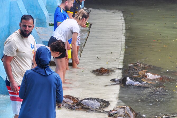 Mnarani Marine Turtle Conservation Pond – Nungwi