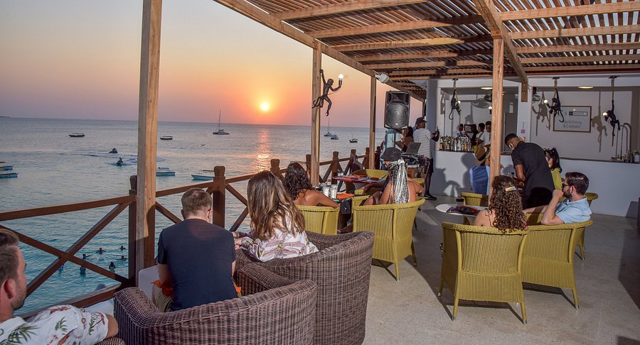 Evening: Rooftop Dinner and Music