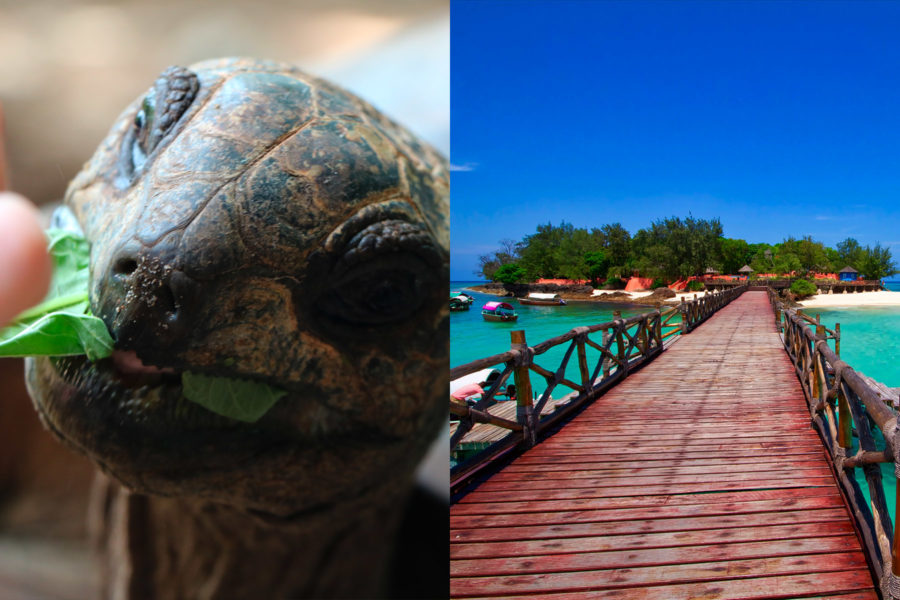 The History & Story of Prison Island