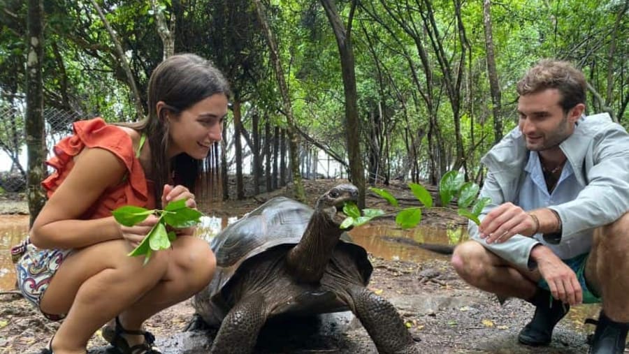 Practical Tips Before You Go