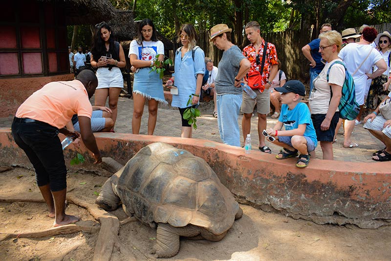 Preserve the Environment