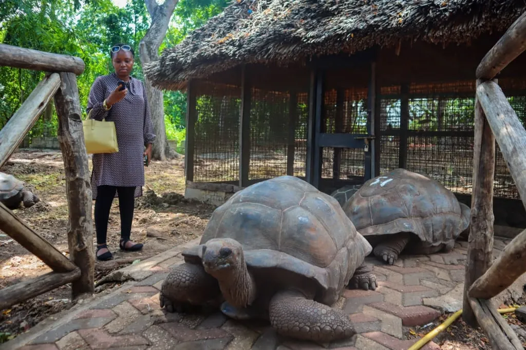 Dress & Pack Thoughtfully